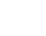 V LOGO